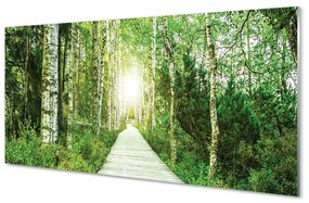 Üvegképek Nyírfa erdei út 125x50 cm