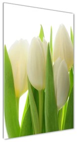 Egyedi üvegkép Fehér tulipán osv-28819889
