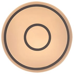 Rabalux 71117 - LED mennyezeti lámpa TAYTUM LED/25W/230V 3000K