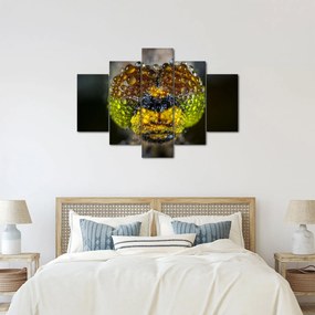 Részletes kép a rovar szemről (150x105 cm)
