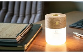 Elektromos aromadiffúzor Smart – Gingko