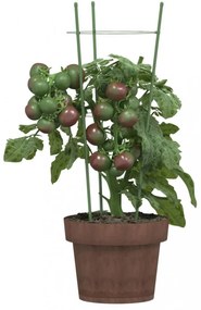 5 db zöld acél kerti növénytámasz 3 gyűrűvel 45 cm