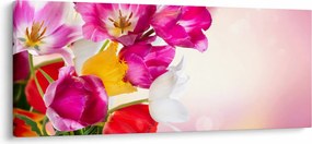 Tulipán képe (120x50 cm)