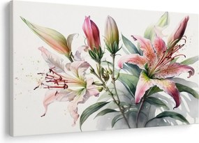 Kép - Liliomok, illusztrációk (90x60 cm)
