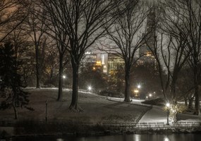 Poszter 66,5x46,5cm Central Park éjszaka, Assaf Frank