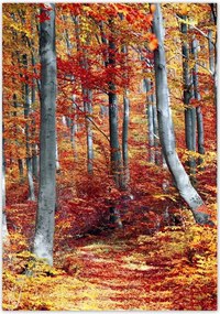 Poszterek 70x100 Tájkép