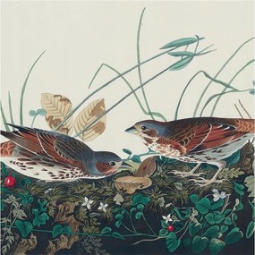 Flizelin fotótapéta Flizelin Design A természet varázsa 250x250 Ragasztó