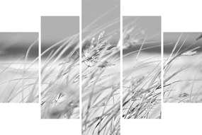 Kép - Strandfű (150x105 cm)