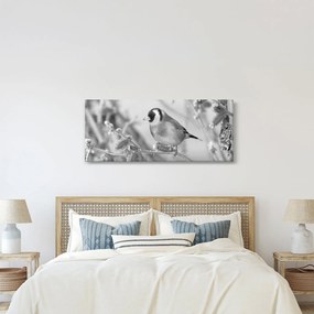 Kép - Egy madár télen (120x50 cm)