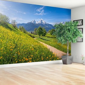 Fotótapéta idilli Alps 104x70 cm