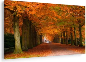 Kép - A Avenue of fák ősszel (90x60 cm)