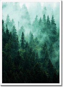 Poszter fehér keretben 50x70 Erdő Köd Tájkép Utazás