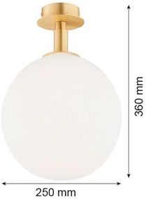 Argon 8505 - Mennyezeti lámpa PALOMA 1xE27/15W/230V arany/fehér