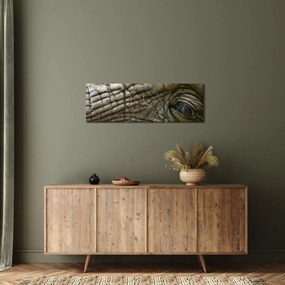Kép - Közelkép az öreg elefánt szeméről (órával) (90x30 cm)