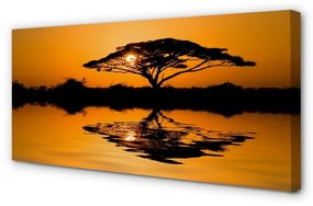Canvas képek Sunset fa 125x50 cm