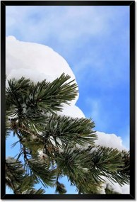 Poszterek keretben 40x60 Hó ág