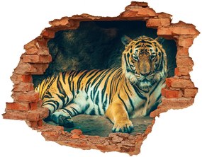 Lyuk 3d fali matrica Tiger cave nd-c-121530926