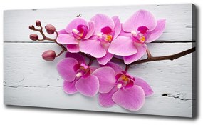 Vászonkép nyomtatás Orchid a fán oc-118409675