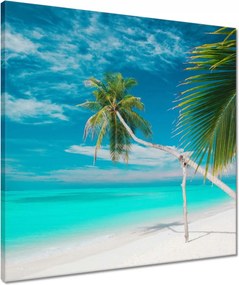 Vászonkép 50x50 Tájkép Látvány