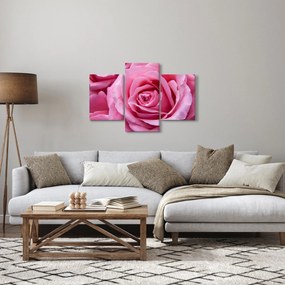 Rózsa képe (90x60 cm)