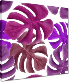 Vászonkép 40x40 Monstera Levelek Lila