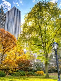 Poszter 30x40cm Őszi Központi Park, Assaf Frank