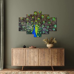 Kép - Páva (150x105 cm)