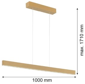 Argon 8306 - LED Csillár zsinóron BALANS LED/35W/230V 3000K arany
