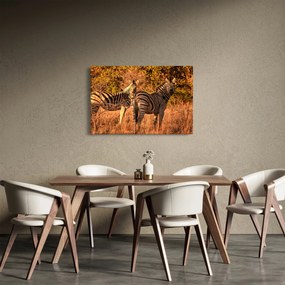 Zebrák képe (90x60 cm)