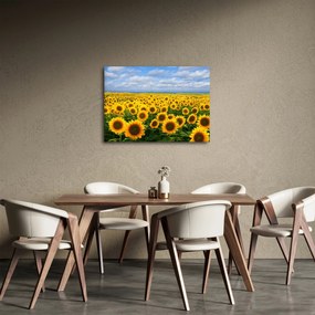A napraforgó mező képe (70x50 cm)