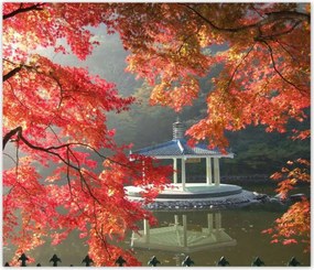 Poszterek 100x100 Őszi meditációk