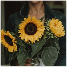 Poszterek 100x100 NapraforgĂłk VirĂĄgok