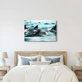 Kép - Delfinek az óceánban (90x60 cm)