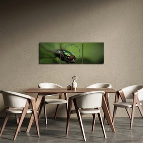 Kép - Légy (órával) (90x30 cm)