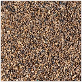 Poszterek 100x100 Kávé Kaffe