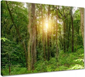 Vászonkép 50x40 Tájkép park