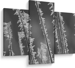 Kép - Fagyos hideg (90x60 cm)