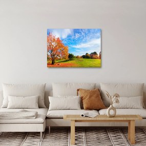 Kép - Őszi táj (70x50 cm)
