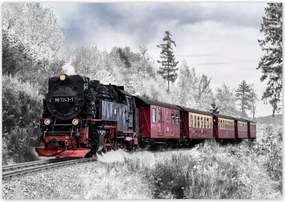 Poszterek 100x70 Vonat és téli aura