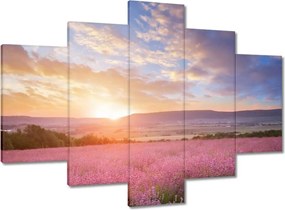 Képek 150x105 Csodálatos naplemente