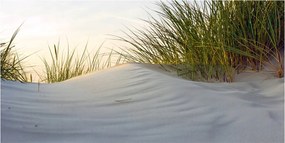 Fotó üvegkép Tengerparti dűnék 140x70