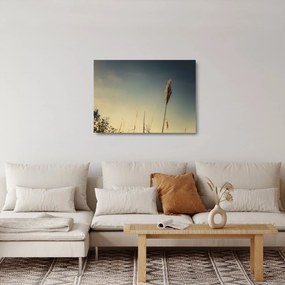 A fű képe (üvegen) (70x50 cm)