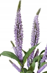 zsálya lila csokor zsálya csokor