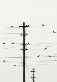 Poszter 68x98cm Szimfónia a dróton