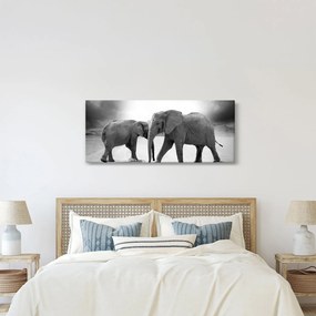 Kép - fekete fehér elefántok (120x50 cm)