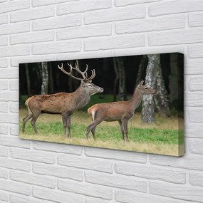 Canvas képek szarvas erdei 140x70 cm