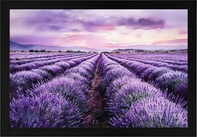 Poszter Keret Fa Tájkép Mező Ültetvény Virágok Levendula Lila 60x40