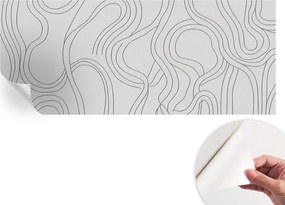 Öntapadós fali fotótapéta Hálószobába Organikus vonalak 250x104 cm