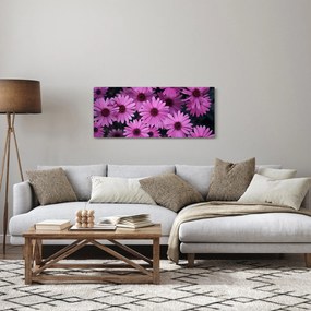 Rózsaszín virágok képe (120x50 cm)