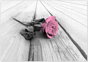 Poszterek 100x70 Rózsa világos deszkákon
